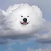 Ben Steiger - @ben.steiger - TikTok