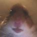 Ben Steinbeck - Facebook
