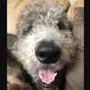 bensteinbeck685 - @bensteinbeck685 - TikTok
