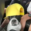 Ben_stelzer13 - @benstelzer13 - TikTok
