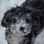 Ben Stepan - @benstepan1 - Instagram
