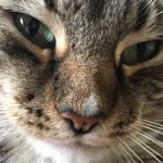 Benjamin Stephan - @ben_stephan_ - Instagram