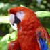 Ben Sternberg - Facebook