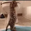 Ben.Stetson - @ben.stetson - TikTok