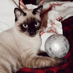 Steson (barry benson) Haugen - @stetson_barry_benson - Instagram