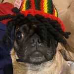 Ben Stich - @benstich_ - Instagram