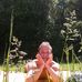 Benjamin Schäfer - Facebook