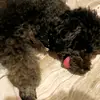 Ben - @stillbenson - TikTok