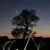 Ben Stillwell568 - @stillers80uk - TikTok