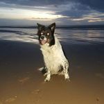 Ben Stocking - @in_synq - Instagram