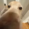 Ben - @ben_stockman - TikTok