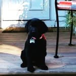 Ben Stolen - @ben.stolen.503 - Instagram