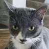 ben_stenberg - @ben_stenberg - TikTok