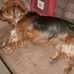Bentley Stonebraker - Facebook