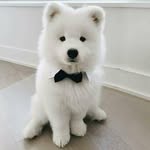 Ben stones - @benstone358 - Instagram