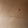 Ben Stones - @benstones1 - TikTok