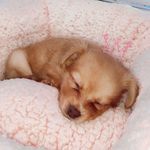 ✰Bentley✰Stoops✰ - @noturaveragebentley - Instagram