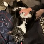 Ben Stovall - @craix76 - Instagram