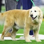 Ben Herbstreit - @benherbstreit - Instagram
