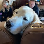 Ben - @realbenherbstreit - Instagram