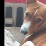 Ben Streit - @streit.ben - Instagram