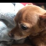 Ben Stroud - @benstroud831 - Instagram