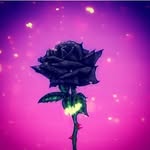 ben stubbs - @stubbs625 - Instagram