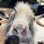 Ben Studebaker - @ben_studey77 - Instagram