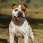 Sebastiano Ben Sudano - @ben_sudano_ - Instagram