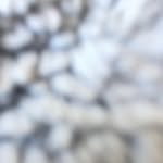 Ben suen - @suenben6 - Instagram