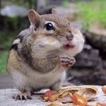 Ben - @ben_swank - Instagram