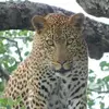 Ben Swart - @ben.swart7 - TikTok