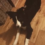 Ben Sykes - @be_nsykes2008 - Instagram