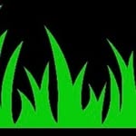 Ben Tanzer - @midcoast_lawn_and_garden - Instagram