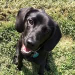 Ben Tepper - @ben_tepper21 - Instagram