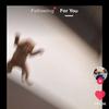 Ben Tepper - @tepper.ben - TikTok