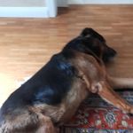 bendix.thole - @bendix.thole - Instagram