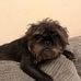 Ben Thomas - Facebook