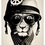 Ben Thornley - @drrobot - Instagram