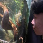 Ben Tieu - @ben_tieu - Instagram