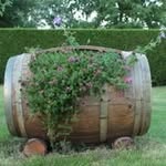 Ben Timmer - @timmer6338 - Instagram