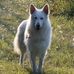 Ben Timmer - Facebook