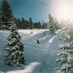 Ben Timmons - @ben.timmons1 - Instagram