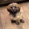 bentimmons - @bentimmons.1 - TikTok