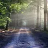 ben.timothy_1996 - @ben.timothy_1996 - TikTok