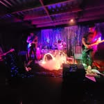 Ben Titus - @palmetto_state - Instagram