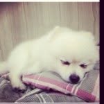 Bennycokronegoro - @bentjoa - Instagram