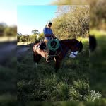 Bento da Rocha - @bentodarocha63 - Instagram