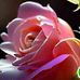 Bk Titoriya - Facebook