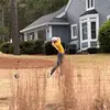 Ben.Tomazic - @ben.tomazic - TikTok